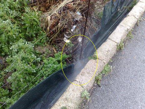 Zinzolo fa ancora acqua