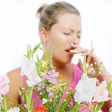 Allergie da graminacee, arriva la pillola-vaccino