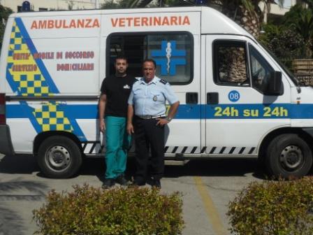Piraino, primo soccorso dell'ambulanza veterinaria