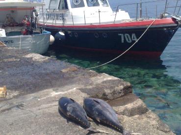 Malfa, pescatori denunciati 