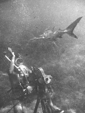 Cinematografia subacquea a Monaco