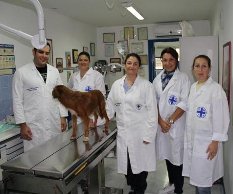 Randagismo, sterilizzati 158 animali
