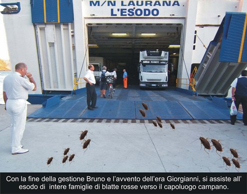 E alle blatte non resta che emigrare