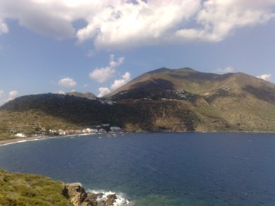 Mucca in putrefazione ancora sulla spiaggia