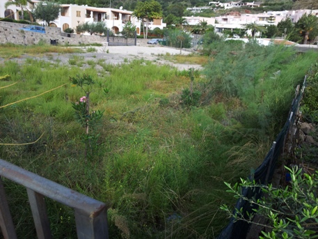 Parco giochi ? No, foresta...con soldi pubblici 