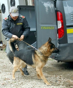 Droga, operazione con 21 arresti anche alle Eolie