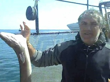 A pesca nelle Eolie