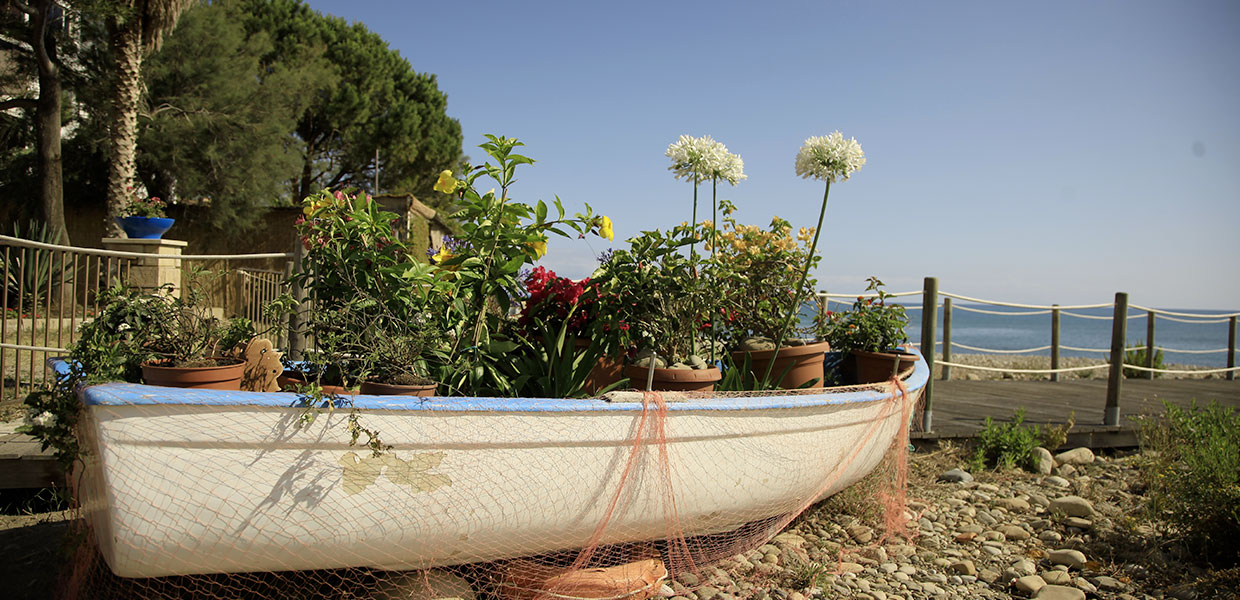 Santa Maria di Salina è in fiore 