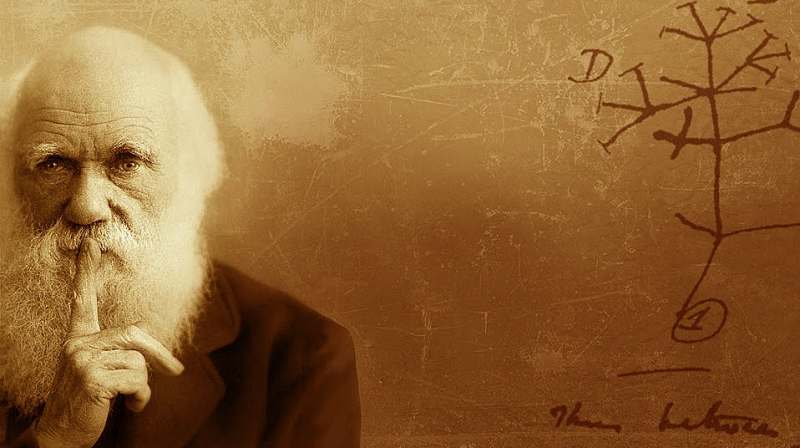 Innumerevoli forme da un semplice inizio: Darwin Day