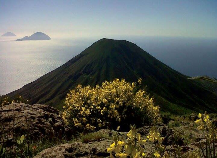 Flora Eoliana: cosa madre natura ci ha regalato