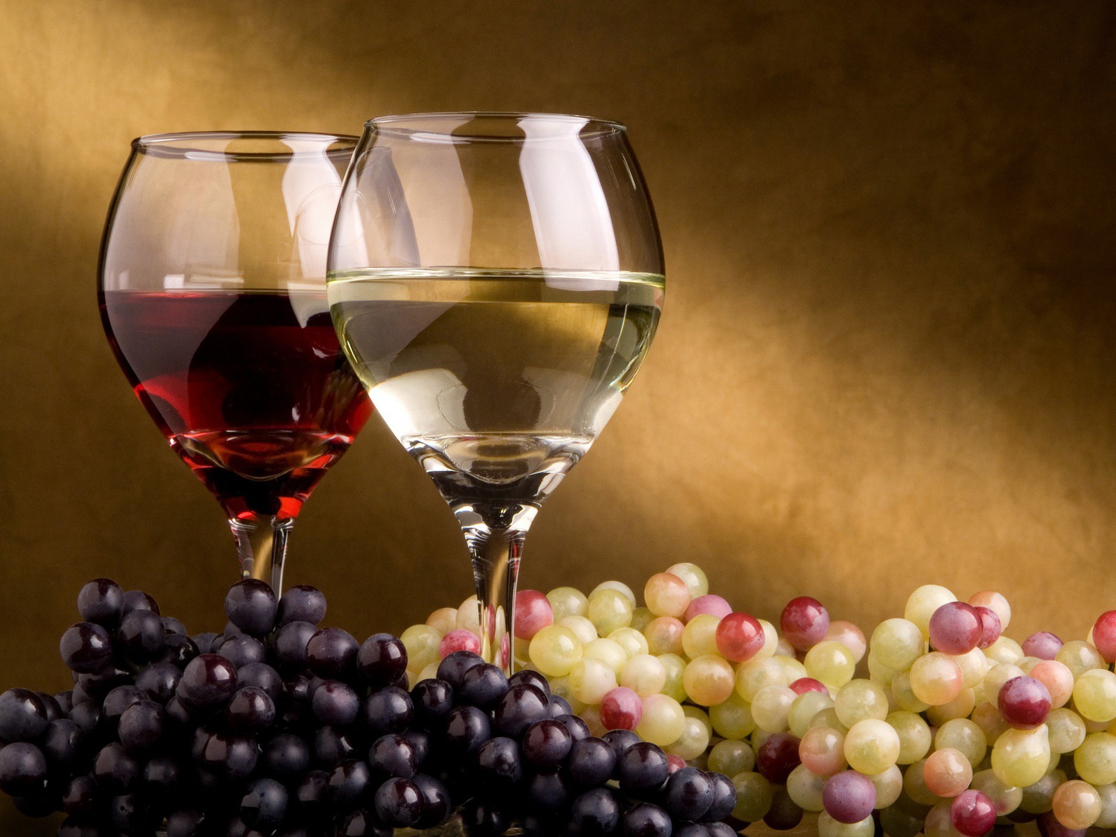 Il corso di introduzione al vino e approfondimento dei suoi abbinamenti col cibo