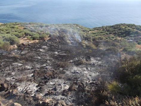 Incendio a San Calogero