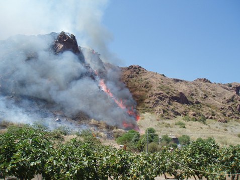 Vulcano, incendio minaccia villaggio turistico
