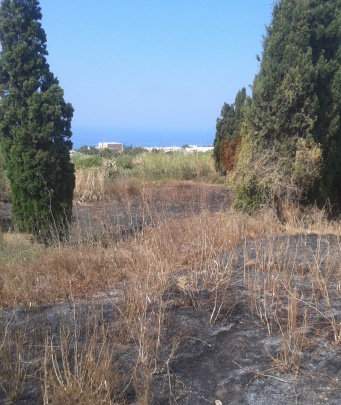 Pianoconte, troppi incendi a "Pirera"