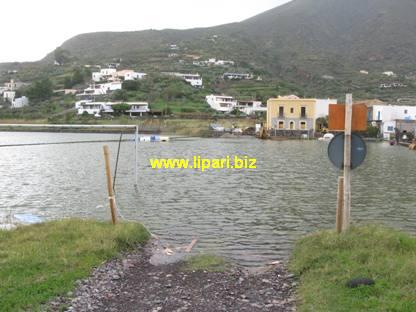 Punta Lingua, appello alle istituzioni