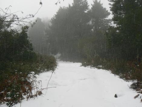 Salina, tanta neve sul Monte Fossa delle Felci