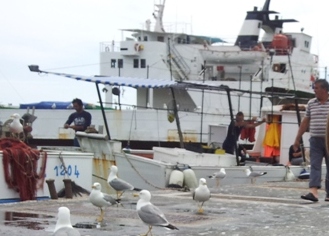 Sottomonastero, da oggi pescato in vendita 