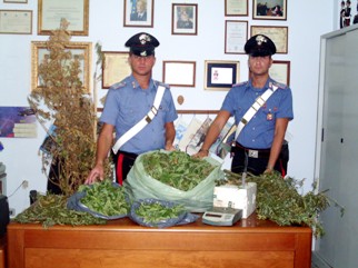 Stromboli, colpo grosso dei Carabinieri