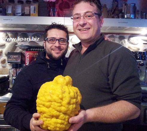 Dai gemelli diversi...il cedro gigante