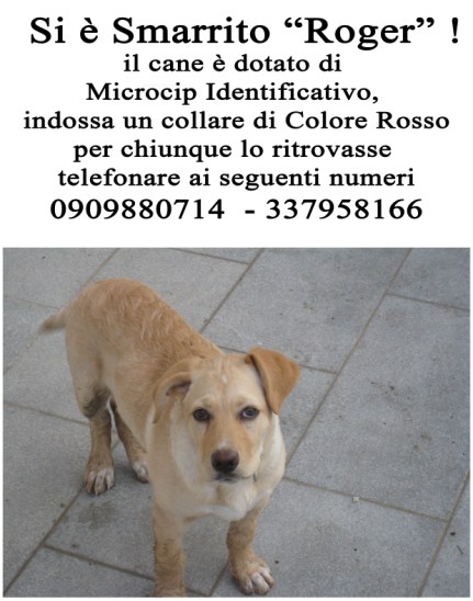 Smarrito "Roger"