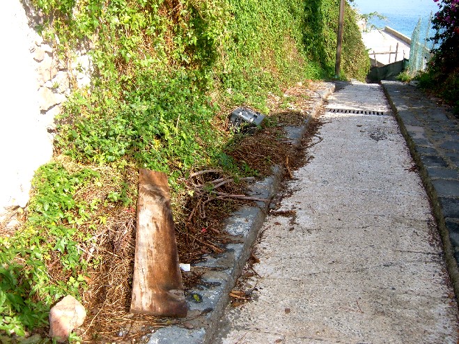 Sparanello, strada abbandonata e pericolosa