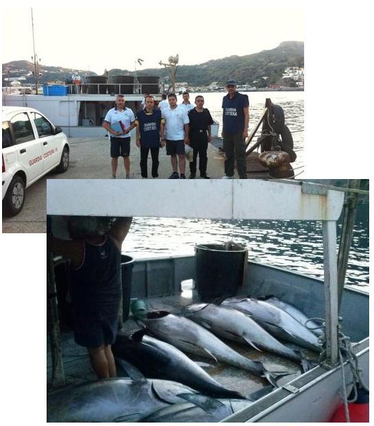 Maxi sequestro di tonno al largo di Stromboli