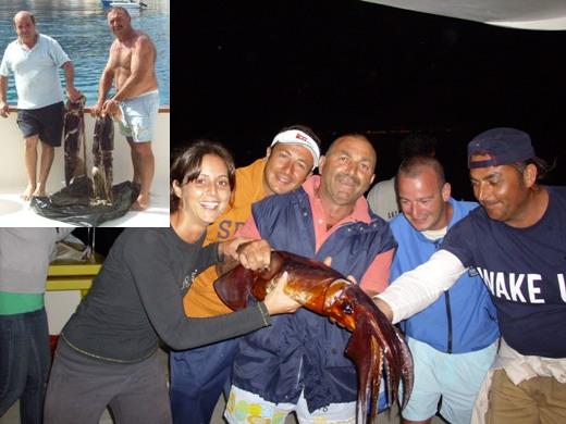 Totani "giganti" nel mare delle Eolie