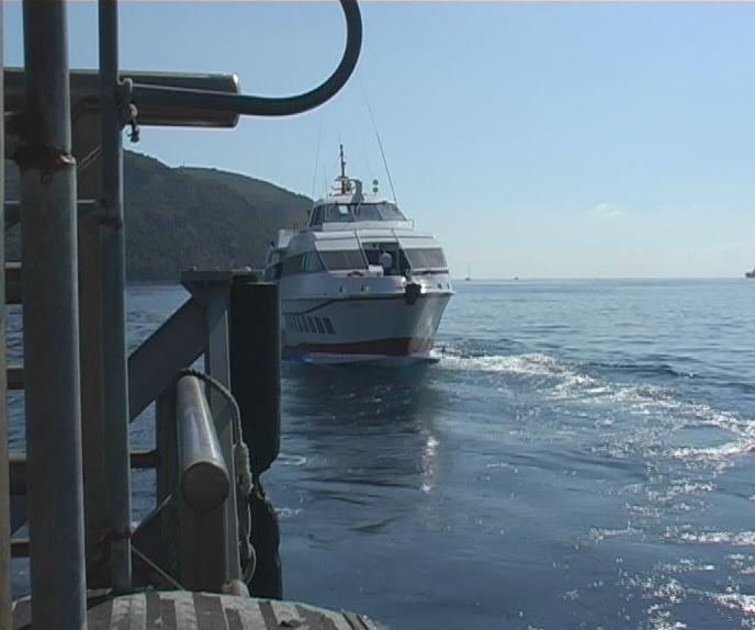 Trasporti,  giunto in nottata il catamarano 