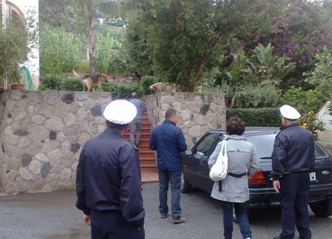 Randagismo, intervento vigili e Asp