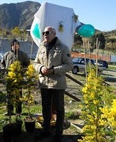 Una mimosa per Yara